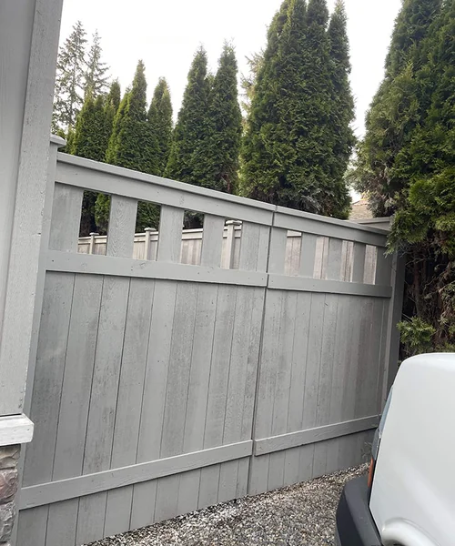 Cedar Staining in Mercer Island 